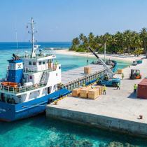 Gemini_Generated_Image_b5lnxfb5lnxfb5ln